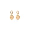 Compass earrings