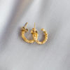 Carolin loop earrings