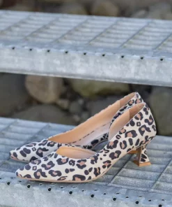 Dewy - Leopardo
