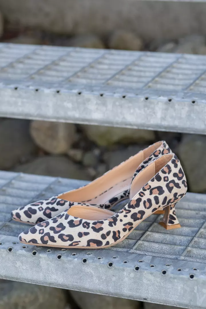 Dewy - Leopardo