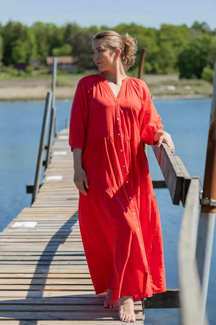 Nataliya dress - Bittersweet
