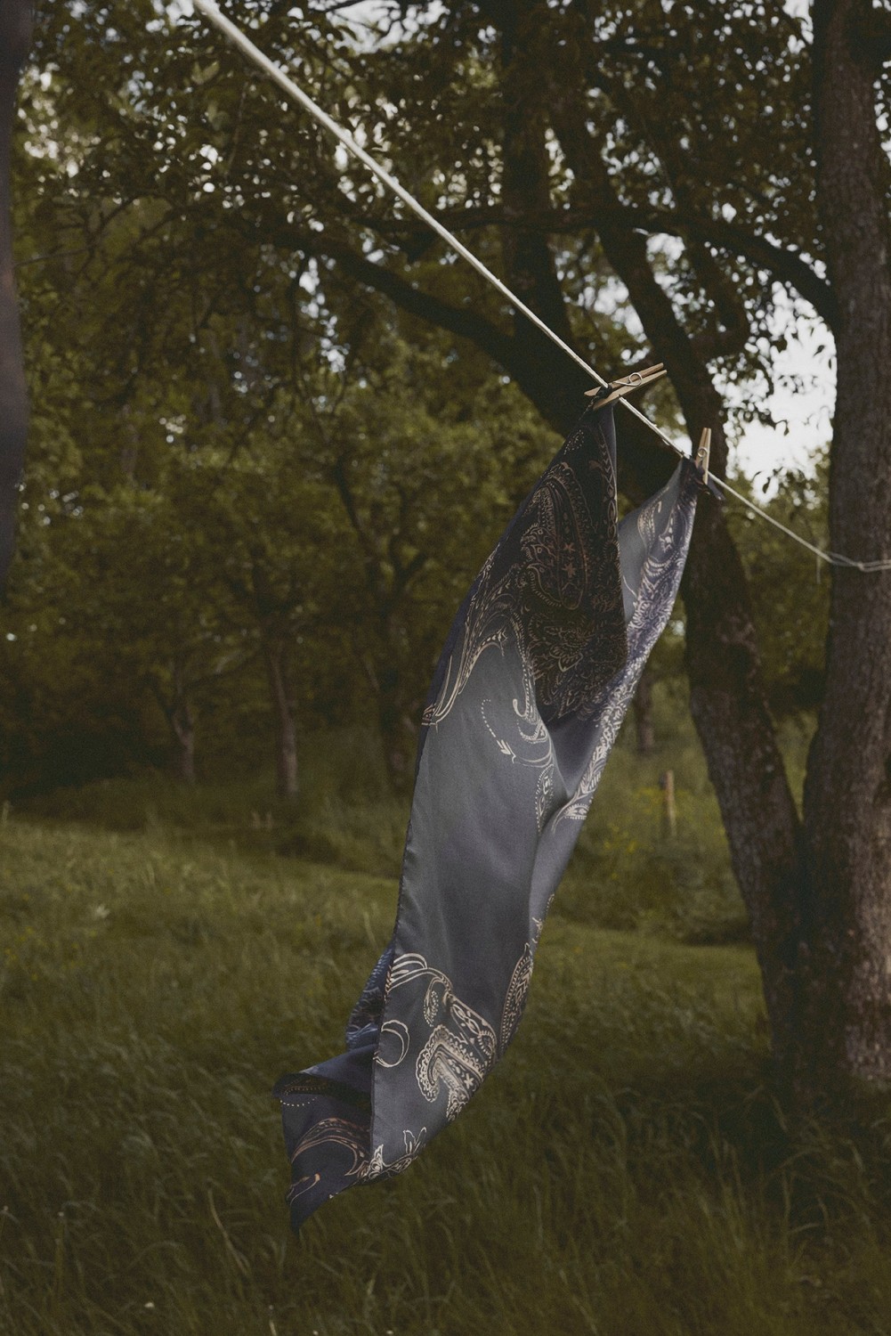 gallery-20695-for-117636