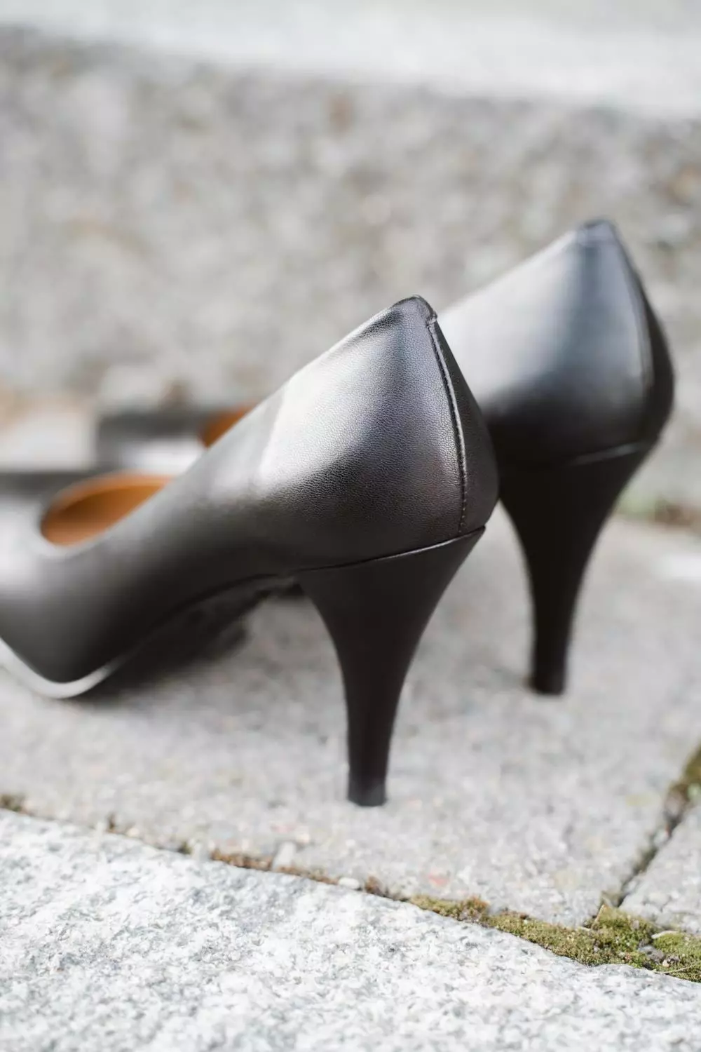 gallery-8110-for-112211