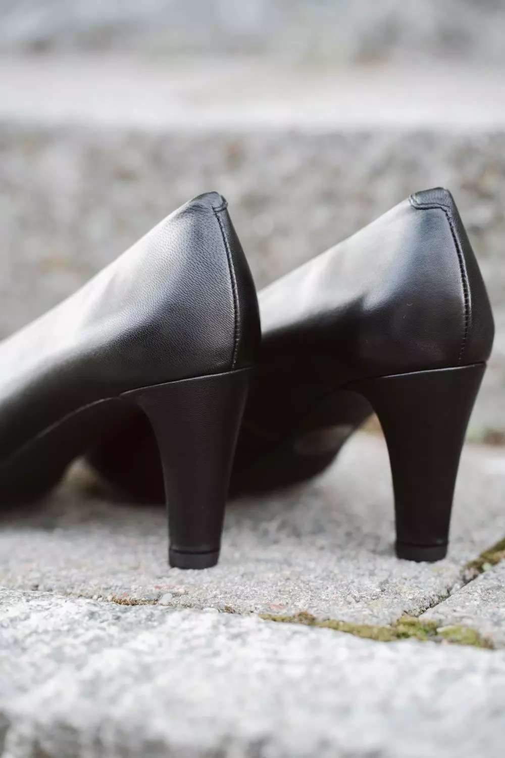 gallery-8114-for-112212