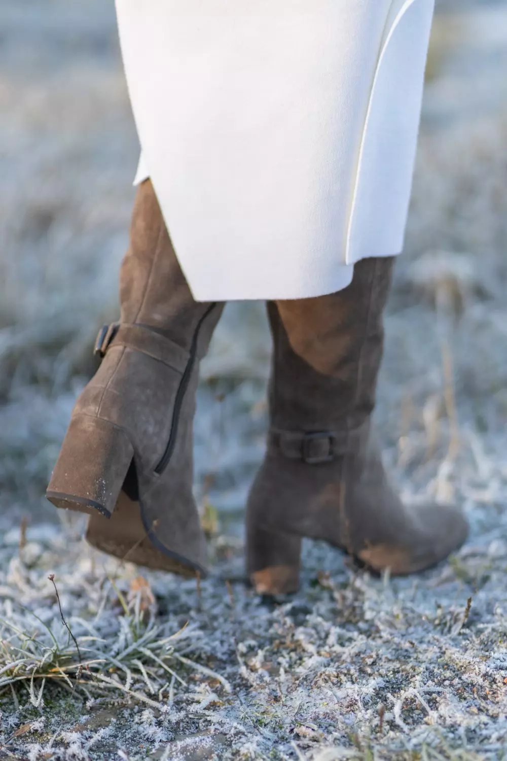 gallery-21433-for-117501