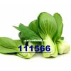 Mini Shanghai Pak choi /kg NL