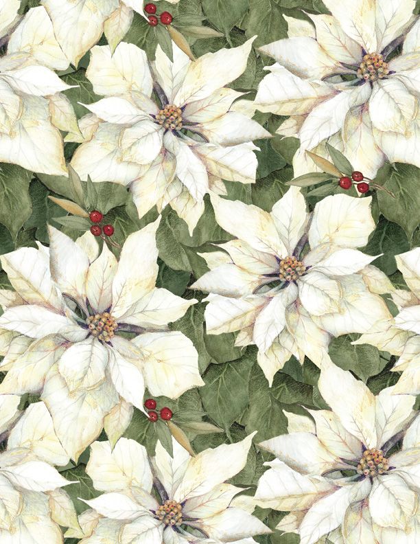Poinsettias White/Cream