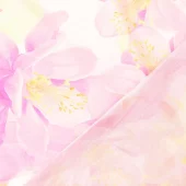 gallery-13080-for-212265.0003