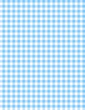 Gingham white/baby blue