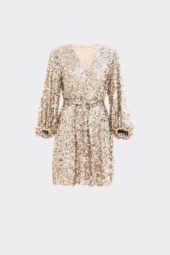 Bianca Sequin Dress