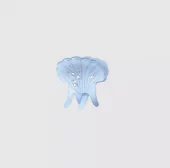 Pasha Hairclaw : Coastal