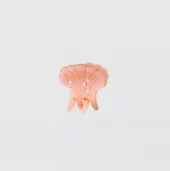 Pasha Hairclaw : Papaya