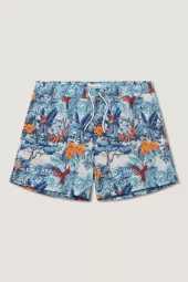 Classic Swimshorts : Multi