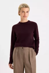 Soft Wool Crewneck Sweater : Dark Burgundy