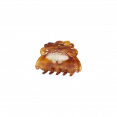 Naledi Hair Claw : Tortoise Shell