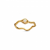 Lisa Ring : Gold