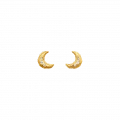 Lunia Earrings : Gold