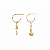 Paulina Earrings : Gold
