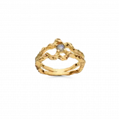 Shelly Ring : Gold