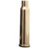 RWS 5,6 x 50 mm R Magnum tomhylser