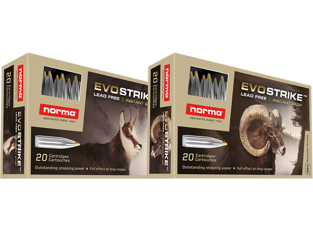 Norma 6,5×55 Swedish 6,0g / 93gr EvoStrike