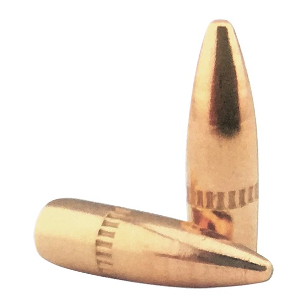 Lightning 55 gr./3,6 g FMJBT .22 kal. (.224), 500 pk.