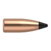 Nosler 20 gr. Varmageddon FB Tip 20 kal (.172), 100 pk.