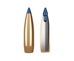 Norma 105 gr./6,8 g BondStrike 6 mm (.243), 100 pk.