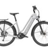 Trek Allant+ 7 Lowstep (2021)