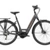 Trek Verve+ 4 Lowstep (2022)