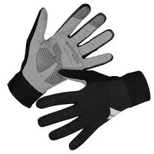 Endura Windchill Glove