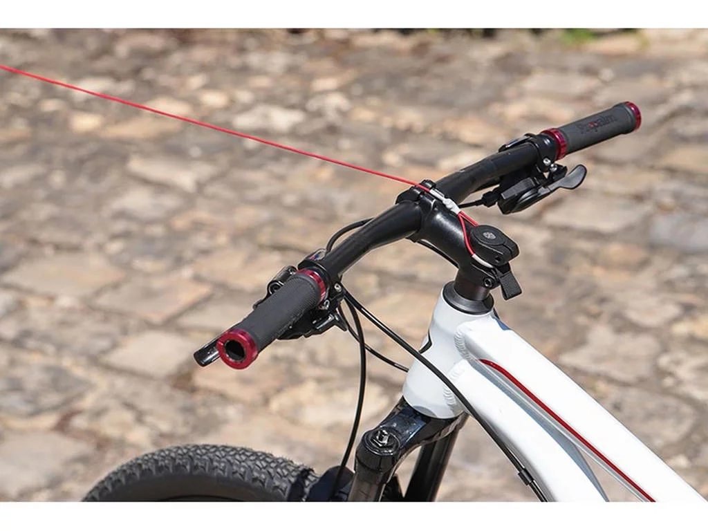 gallery-15185-for-7035