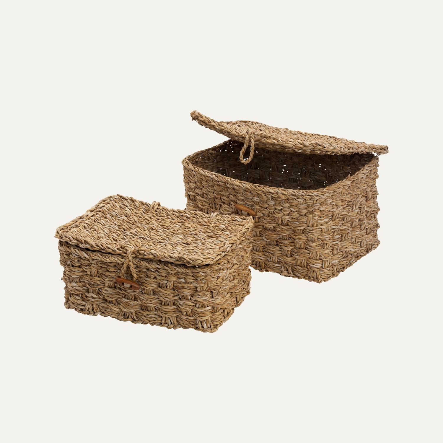 Dixie, Esther Box M