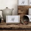 Aqua gustus, Herbal tea awakening