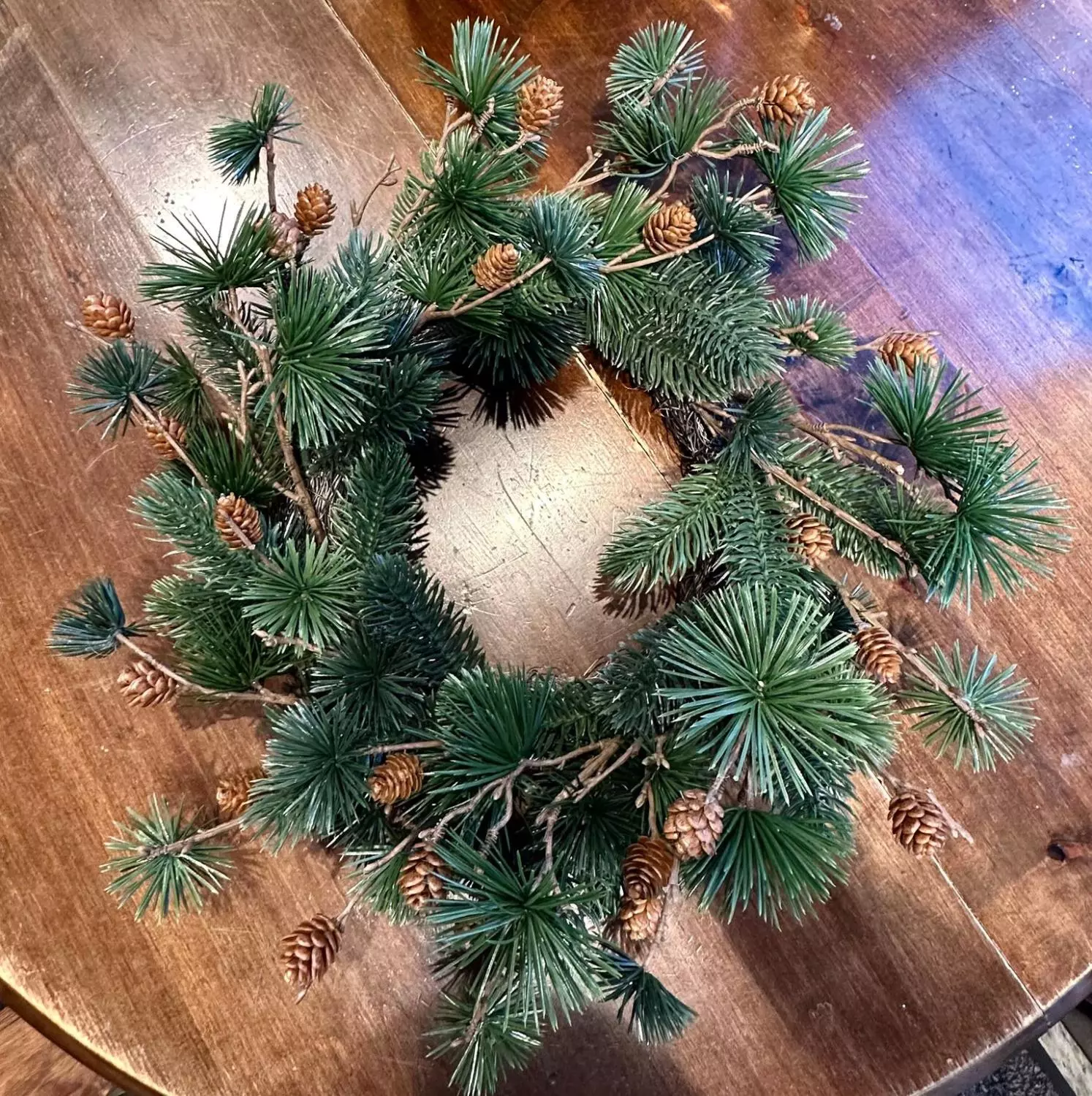 Mr plant, Krans med kongler