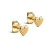 Enamel, Heart Studs