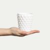 Mateus, Bubbles mug white