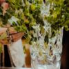 gallery-22538-for-113723
