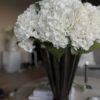 VKW, Hortensia hvit