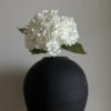 gallery-22545-for-113728
