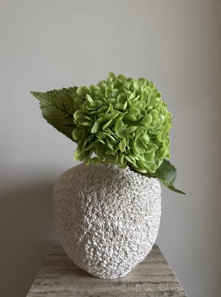 VKW, Hortensia grønn