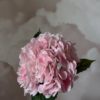 gallery-22548-for-113730