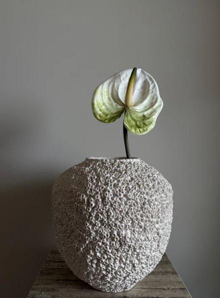 VKW, Anthurium hvit/grønn