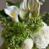 gallery-22554-for-113739