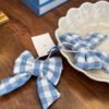 Von Norten, napkin rings blue/white