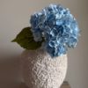 gallery-22577-for-113776