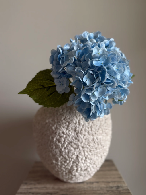 gallery-22577-for-113776