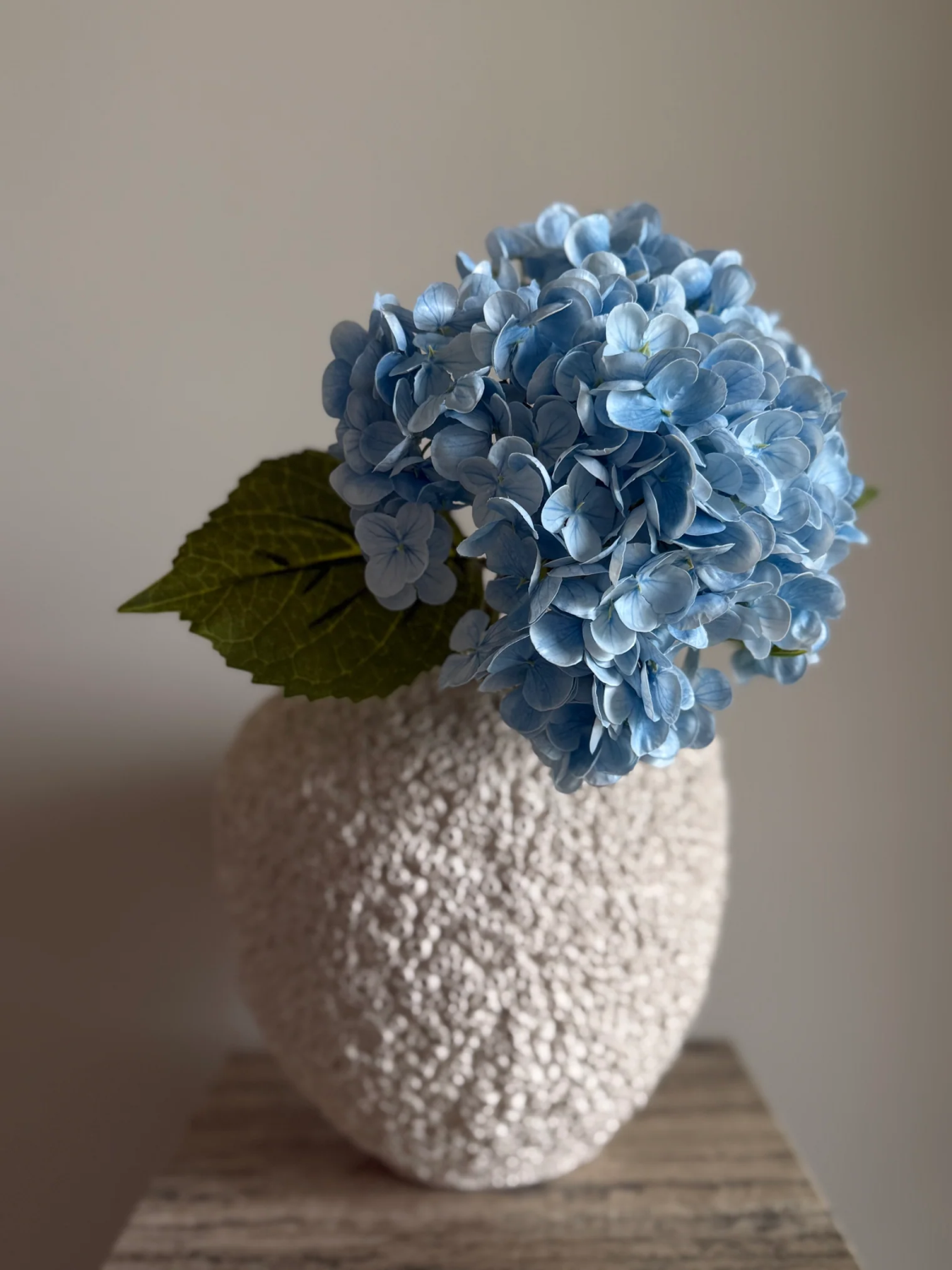 gallery-22577-for-113776