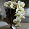 gallery-22579-for-113777