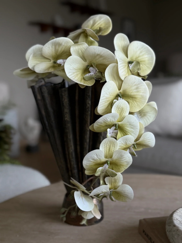 gallery-22579-for-113777